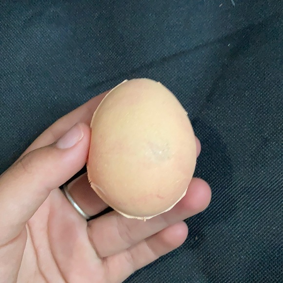 egg squishy - Picture 2 of 3